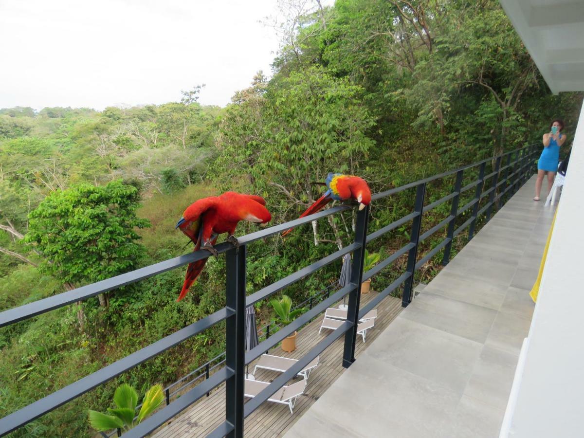 La Maison Blanche Manuel Antonio Εξωτερικό φωτογραφία